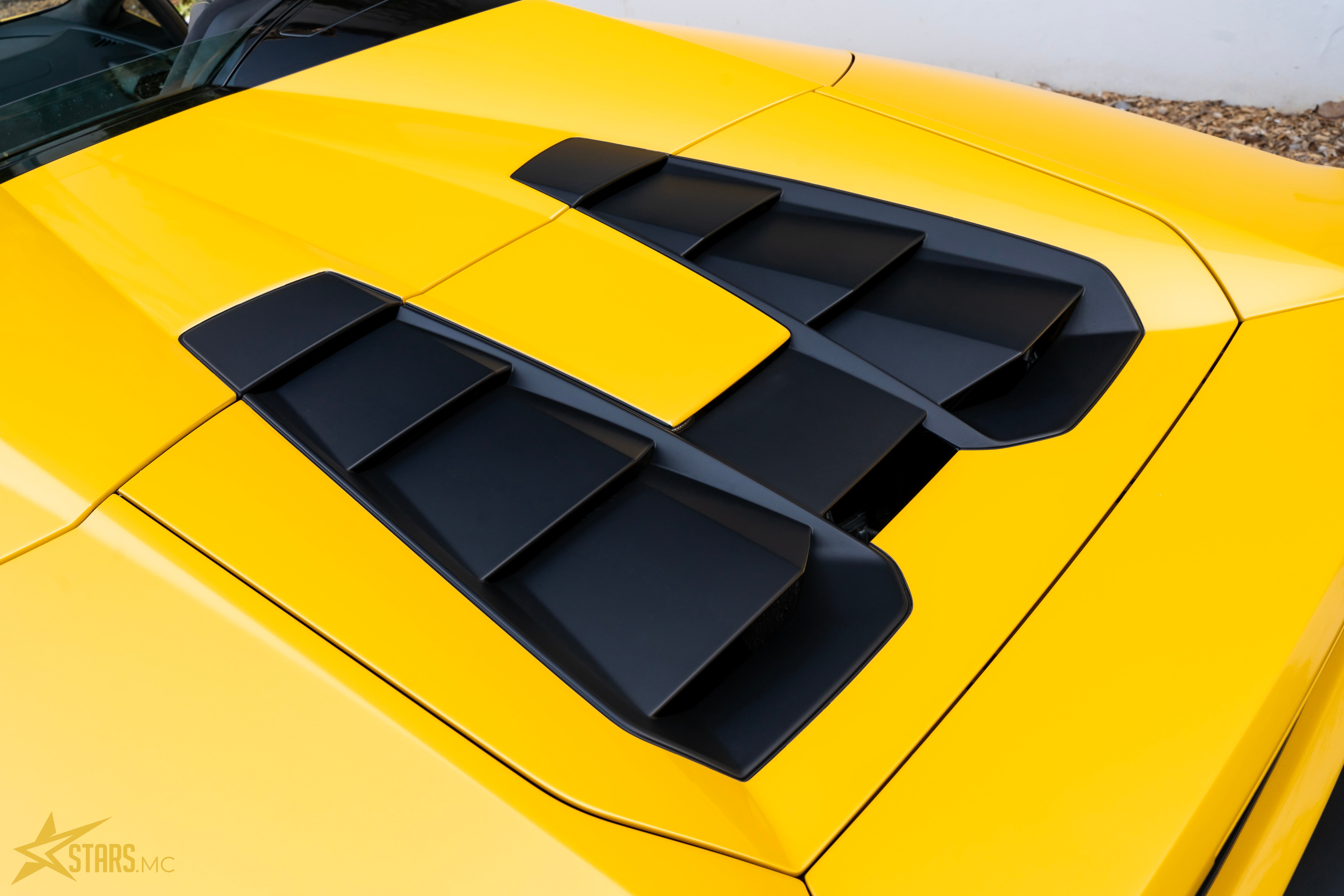 PPF XPEL coverings